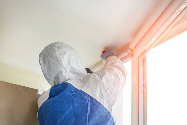 Best Mold Prevention Services  in USA